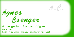 agnes csenger business card
